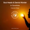 Download track In Sunshine (Extended Mix)