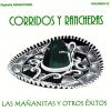 Download track Corrido De Monterrey