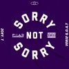 Download track Sorry Not Sorry