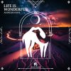 Download track Life Is Wonderful