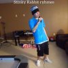 Download track Stinky Rabbit Flow