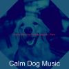 Download track Vivacious Ambiance For Cute Dogs