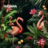 Download track Hayana (Extended Mix)