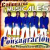 Download track Canonazos Musicales
