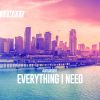 Download track Everything I Need (Original Mix)