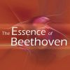 Download track Beethoven- Molto Adagio In G Major, Hess 71 (Fragment)