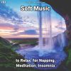 Download track Soft Music, Pt. 8