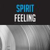 Download track The Spirit Feeling