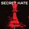 Download track Secret Hate (Radio Edit)