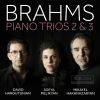 Download track Piano Trio No. 2 In C Major, Op. 87 II. Andante Con Moto (Tema Con Variazione)