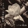 Download track 分手是一场新的开始 (伴奏版)