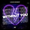 Download track Without You