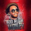 Download track MONEY - 2 MUCH MONEY (INSTRUMENTAL)