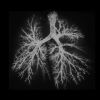 Download track Mycorrhizal