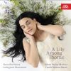 Download track Sonata No. 1 In D Minor: No. 2, Aria Allegro - Variatio - Adagio - Finale