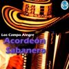 Download track Acordeon Sabanero