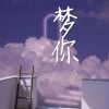 Download track 梦你 (伴奏)