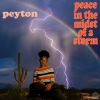 Download track Kingdom Of Prince