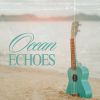 Download track Calm Echoes