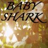 Download track Baby Shark / Tribute To Pinkfong