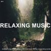 Download track Relaxing Morning