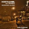 Download track Working Alone (Extended Mix)