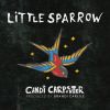 Download track Little Sparrow