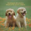 Download track Berceuse Pour Chien