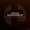 Download track Aquamarine (BluSkay Remix)