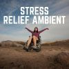 Download track Stress Relief Music, Pt. 11