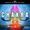 Download track Muladhara Meditation - Root Chakra Balance For Foundational Harmony (Theta Wave)