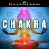 Download track Swadhisthana Meditation - Sacral Chakra Balance For Abundance, Well-Being, Pleasure & Sexuality (Theta Wave)