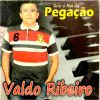 Download track Sou O Rei Da Pegacao