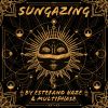 Download track Sungazing