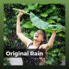 Download track Poeticize Rain