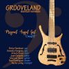 Download track Grooveland