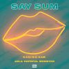 Download track Say Sum