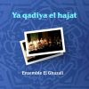 Download track Sayidi El Bachar