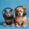 Download track Soothing Pet Notes