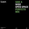 Download track Wide Open Space (Trouser Enthusiasts Hermaphrodite Circus Mix)