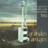 Download track Grandes Amigos (Live Version)