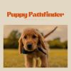 Download track Poppy Pathfinders