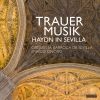 Download track Symphony No. 44 In E Minor, Hob. I 44 III. Adagio (Preserved In The Cathedral Of Sevilla)