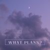 Download track WHAT PLANS?