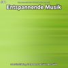 Download track Entspannende Musik Teil 41