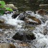 Download track Gentle Water Stream