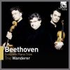 Download track Piano Trio No. 5 In D Major, Op. 70 No. 1 'Ghost' - I. Allegro Vivace E Con Brio