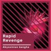 Download track Rapid Revenge