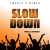 Download track Slow Down