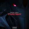 Download track Starscream (Original Mix)